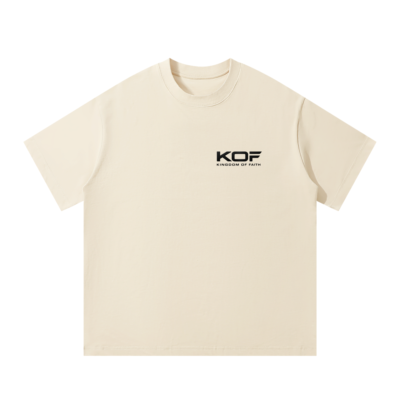 WLR Oversized T-Shirt