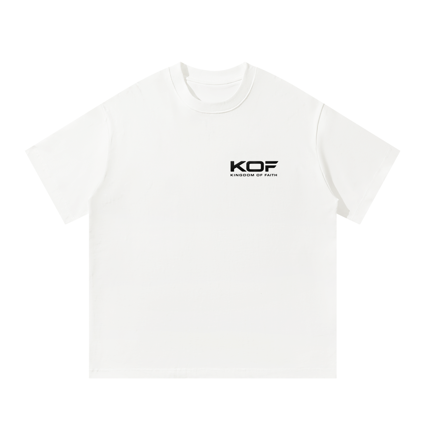 WLR Oversized T-Shirt